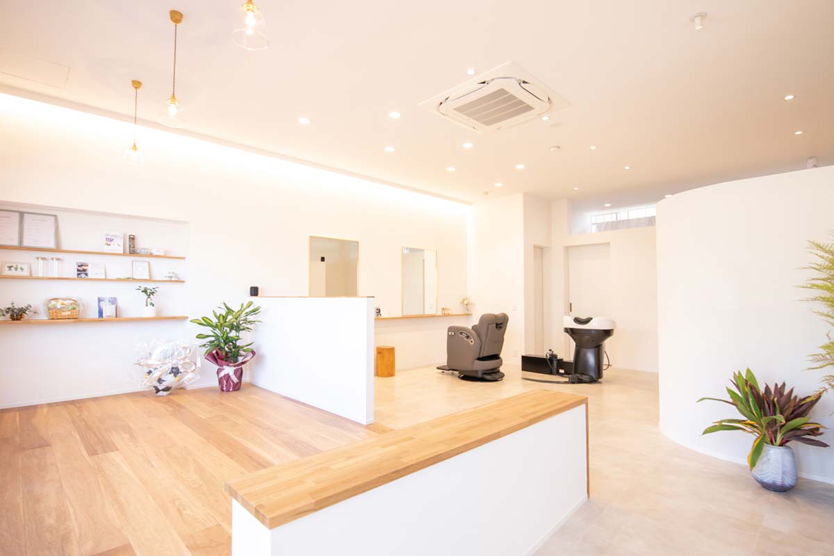 hairdressing N2